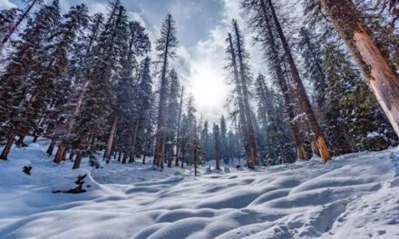 Rains lash Srinagar, other plains; snowfall in Pahalgam, Gulmarg, Kokernag