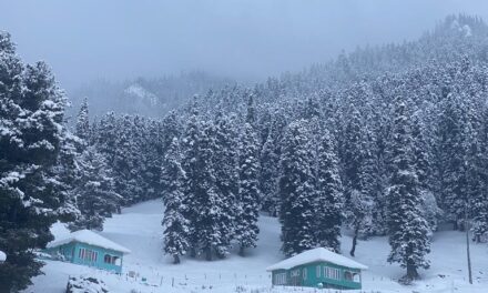 Kashmir plains receive season’s first snowfall