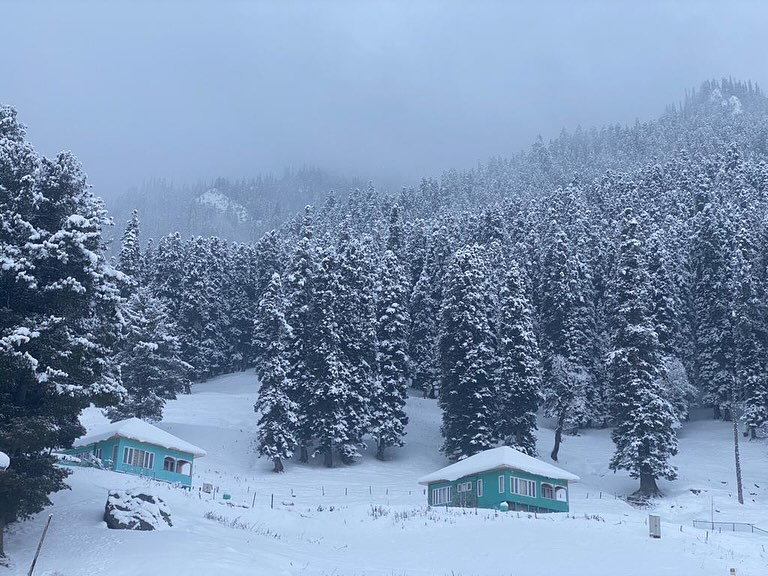 Severe cold in Kashmir; Pahalgam shivers at minus 11.0°C, Gulmarg at minus 10.5°C