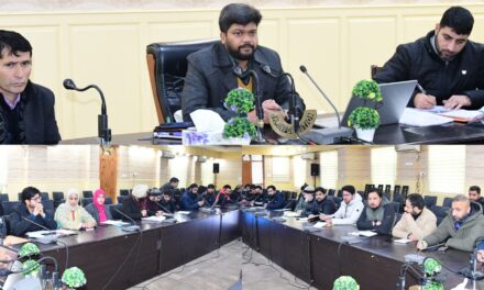 DC Ganderbal discusses MGNREGA Convergence Plan 2024-25