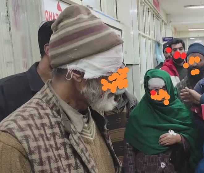 Seven persons injured after attacked by stray dogs in Kupwara