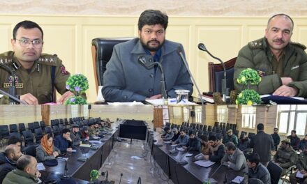 DC calls for proactive coordination for addressing development, law & order issues