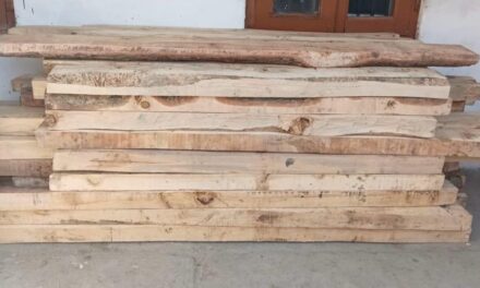 Police recovered Illicit timber in Sopore