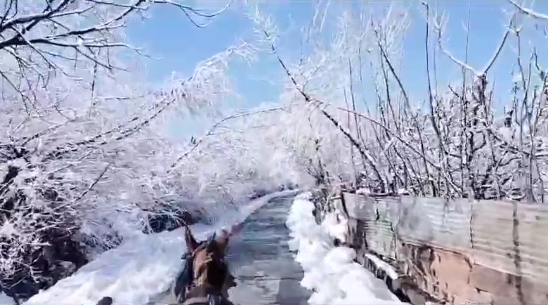 “The Chronicles Of Narnia”: A Tonga Ride On Snowy Tracks In Kashmir