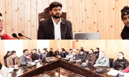 DC Ganderbal chairs meeting to boost One District-One Product initiative