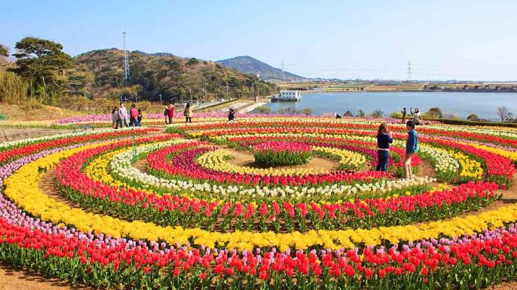 Tulip garden to feature 5 new varieties; 1.7 million tulips set to bloom:Multi activity equipment for children installed in 7 new parks