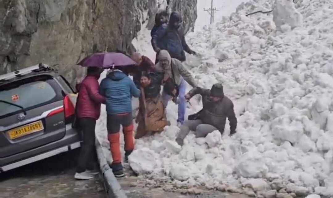 Avalanche Hits Hung Area of Sonamarg, No Casualties Reported