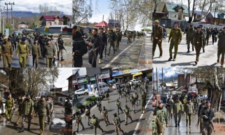 Lok Sabha Elections 2024:Ganderbal Police carried out flag March
