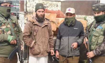 Sopore Police recovered Illicit timber and takes appropriate legal action.