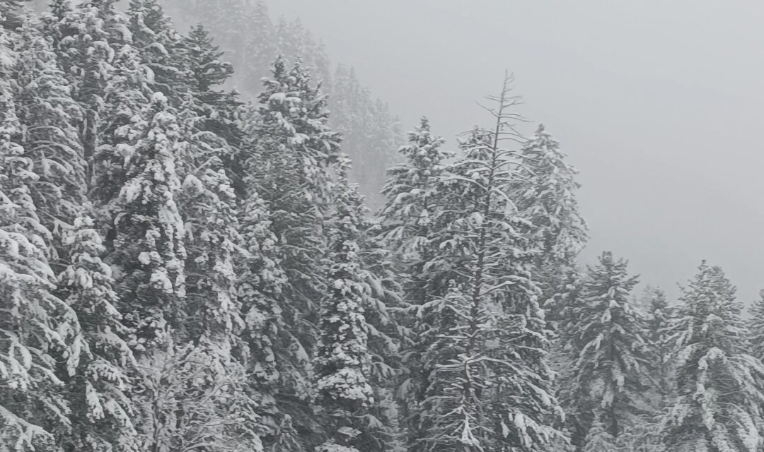 Higher reaches receive fresh snowfall, rains lash plains in J&K