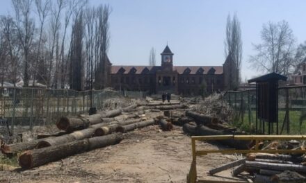 Cutting of Willow/ Robina & Poplar trees done under due process of law: Amar Singh College Administration