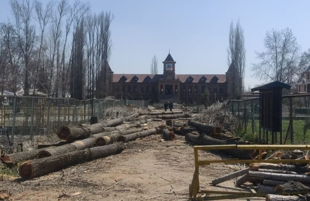 Cutting of Willow/ Robina & Poplar trees done under due process of law: Amar Singh College Administration