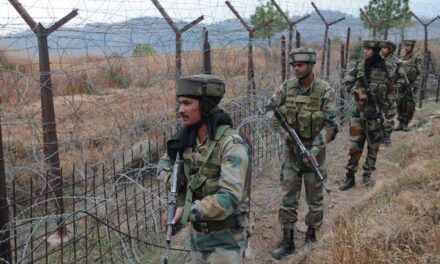 Pak Intruder Apprehended In Nowshera Sector, Rajouri