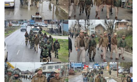 Forthcoming Parliamentary elections: Police carries out Flag March in Sopore