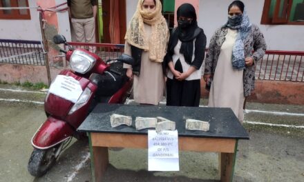 Theft case solved in Ganderbal,accused arrested: Police