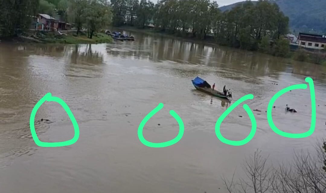 Three students die as a boat capsizes in Srinagar