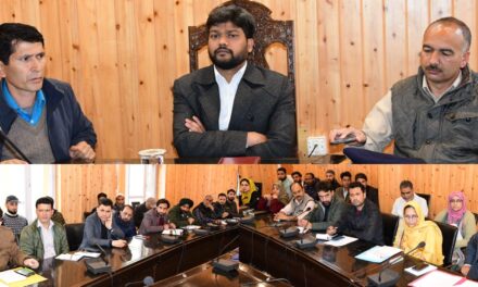 DC Ganderbal reviews progress of computation of PDI