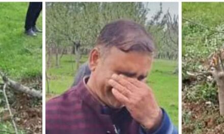 Miscreants chop off apple trees in Sopore village