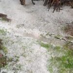 Heavy Hailstorm Ravages Multiple Villages in Shopian, Puts Apple Production On Stake