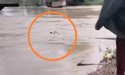 Suicide attempt foils in Sopore