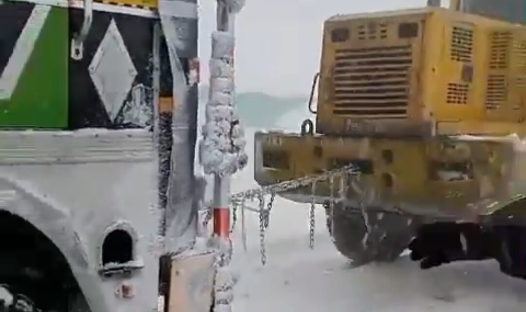 BRO rescues people stuck in J-K’s Razdan Pass after snowfall