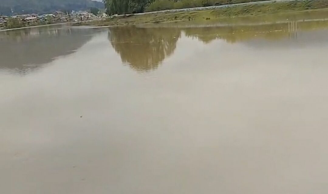 Water level touches flood declaration mark at Ram Munshi Bagh, Pampore