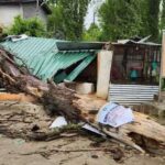 Strong winds hit North Kashmir parts, no causalities reported