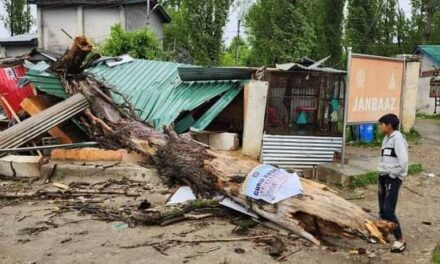 Strong winds hit North Kashmir parts, no causalities reported