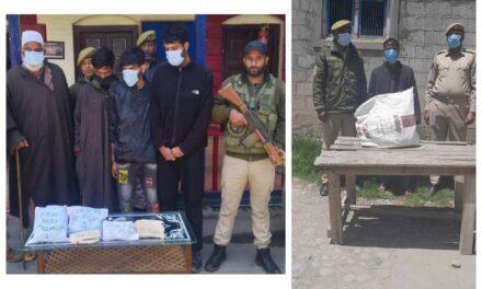 Police arrests 05 drug peddlers in Pulwama; Contraband substances recovered