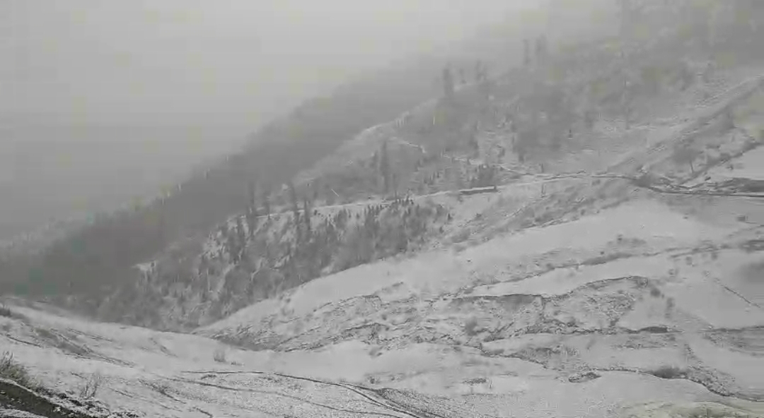 Weather improves after snowfall in Kashmir; temp drops as Sonamarg records minus 5.3°C