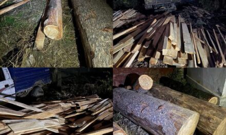 Huge quantity of Illicit forest timber seized in Bandipora , FIR Registered