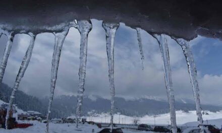 Fresh snowfall in Kashmir brings relief from freezing temperatures