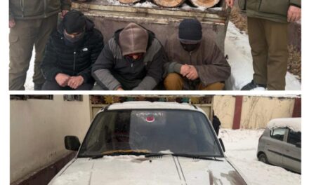 Illegal Timber Seized at Drung Crossing; Three Individuals Arrested