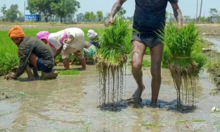 Centre plans permanent framework for weather advisory units for farmers shut last year