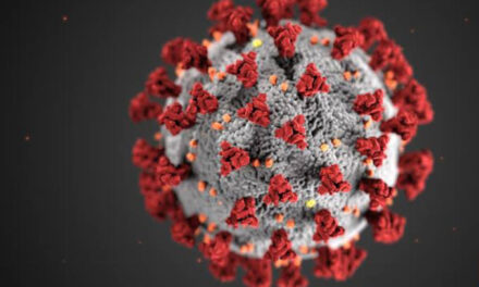 Infant in Ahmedabad hospital tests positive for HMPV; stable