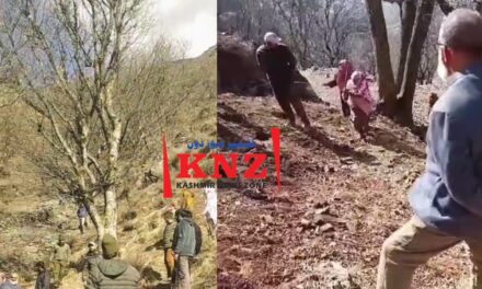 Seven Persons Booked for Assaulting Forest Staff in Kangan