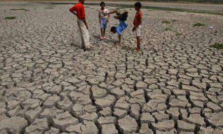 January 2025 was warmest on record despite La Nina’s cooling effect: EU climate agency