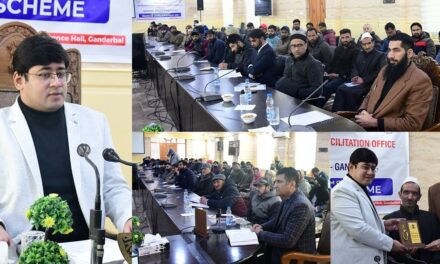 DC Ganderbal presides over One-Day workshop on PM Vishwakarma scheme