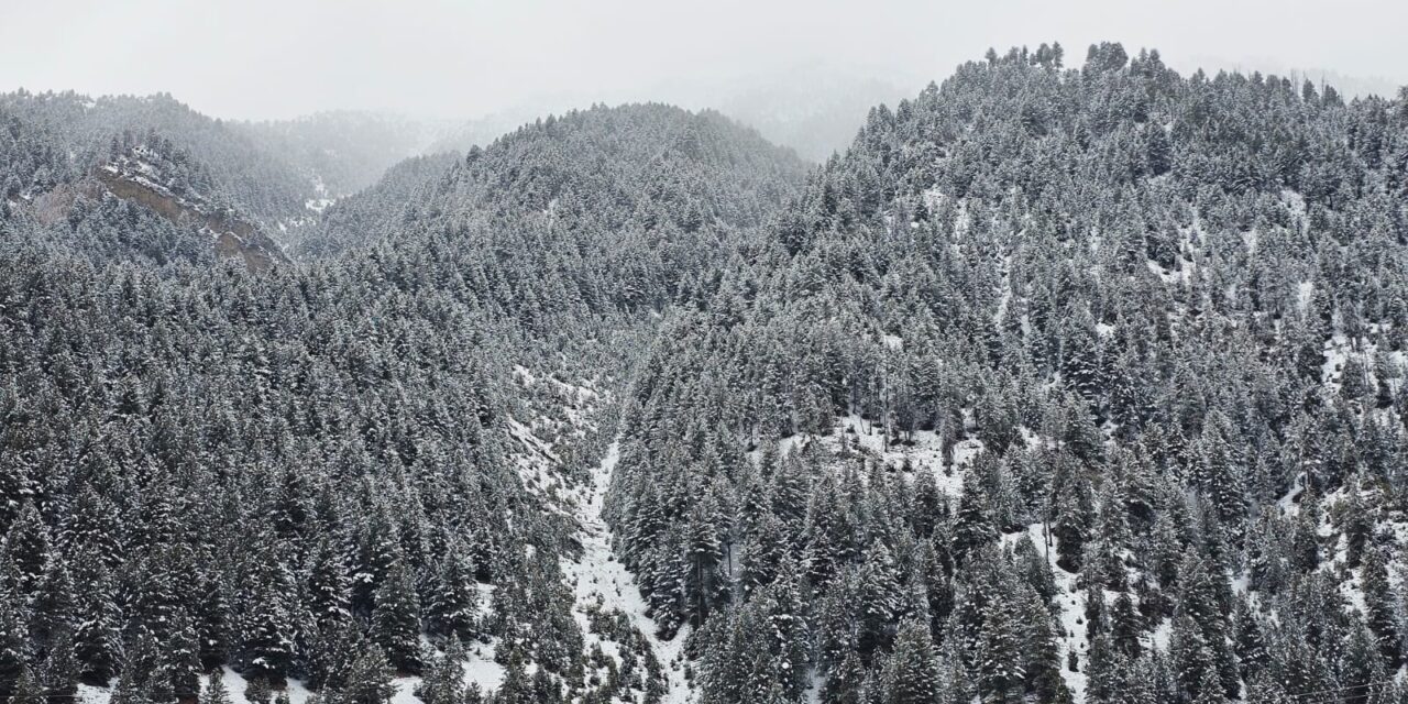 Chilla-Bacha likely to bring major snowfall of this season