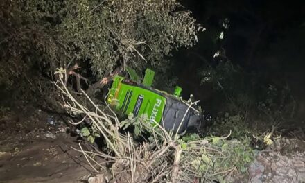 Driver killed, 17 injured as bus carrying pilgrims falls into gorge near Jammu