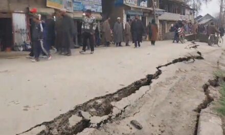 Panic in Hajin town as road along Jhelum develops massive cracks
