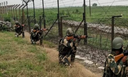 BSF foil infiltration bid along IB, intruder shot dead