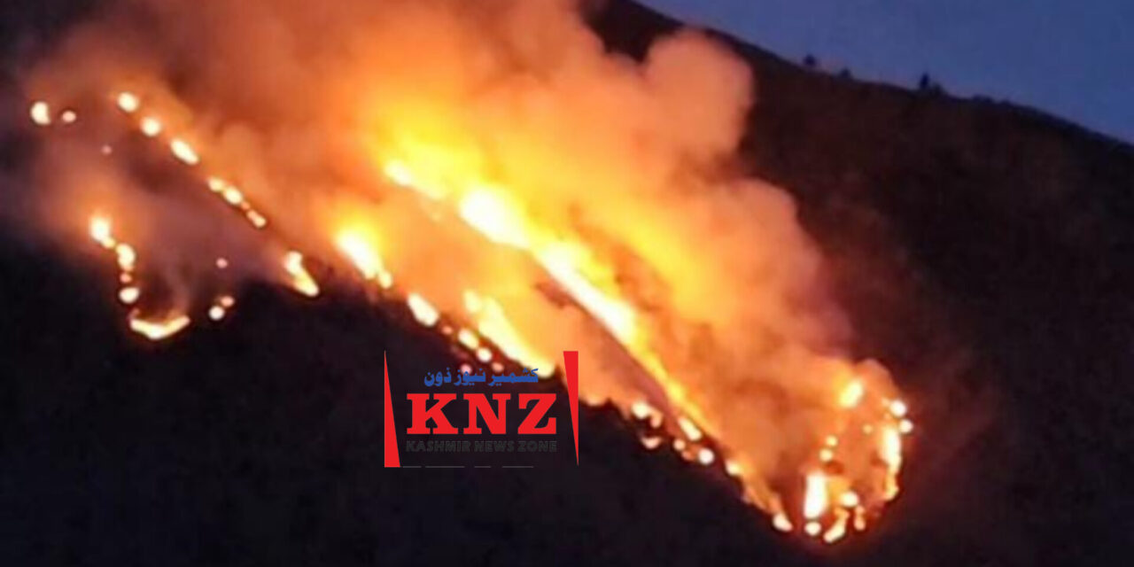 Massive Fire Ravages Cherwan Forest in Ganderbal; Officials, Locals Battle to Contain Inferno