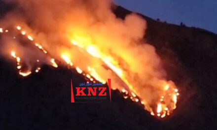 Massive Fire Ravages Cherwan Forest in Ganderbal; Officials, Locals Battle to Contain Inferno