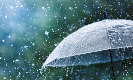 Light to moderate rains/snow likely in J&K tonight