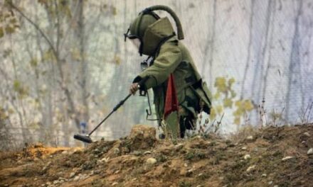 After Shopian, another suspicious object found in Tral