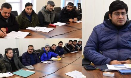 DC Ganderbal Reviews Progress under PM Surya Ghar Muft Bijli Yojana