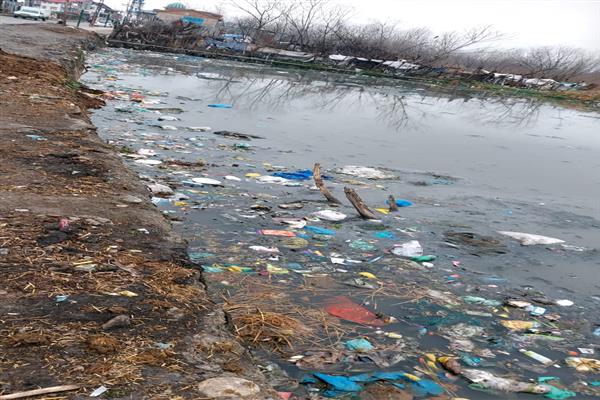 NLCO Chairman Urges Government Action for Sustained Conservation of Khushalsar’s Sazgaripora Side