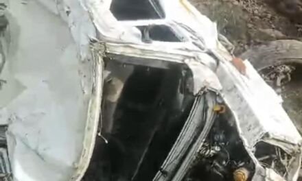 4 people killed, 8 others injured as tempo vehicle falls into gorge in Reasi