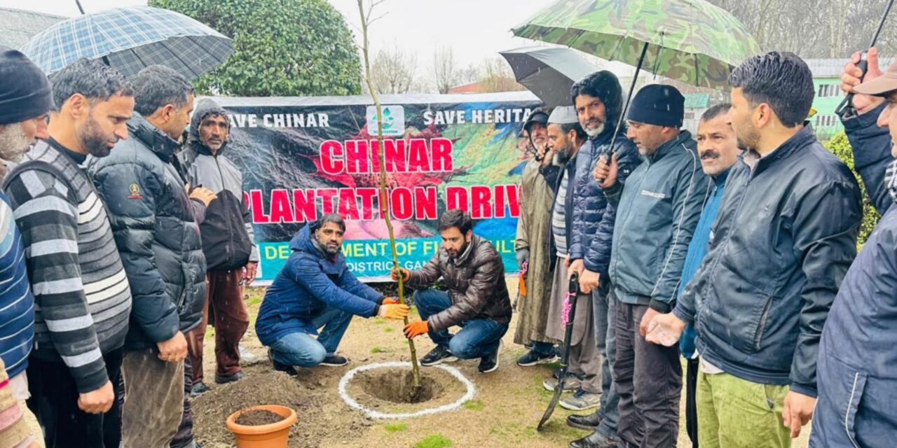 J&K Department of Floriculture Commemorates Chinar Day with Plantation Drive & Heritage Walk at Qamriya Park, Ganderbal